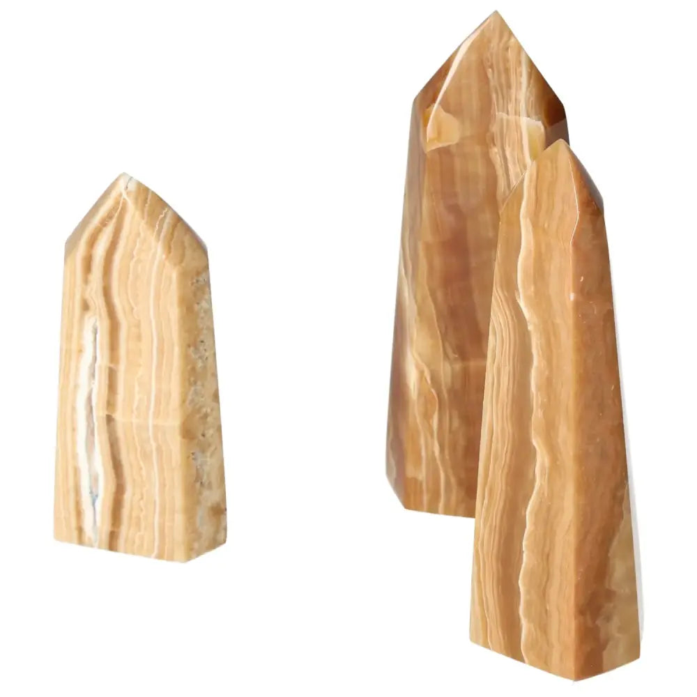 orbitvu|type:image2d