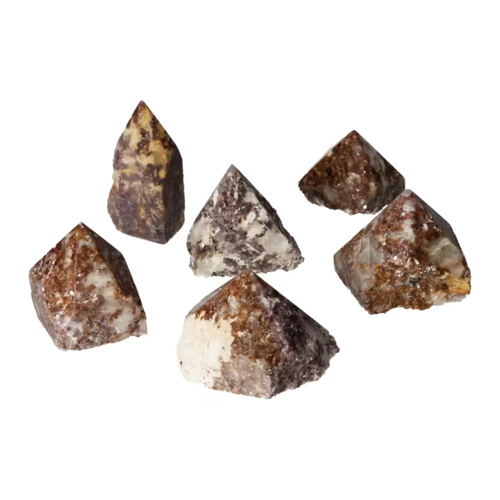 orbitvu|type:ORBITVU 360|https://orbitvu.co/share/kHDpmuWMMEeUz9JY9Xu73Z/6513249/360/iframe