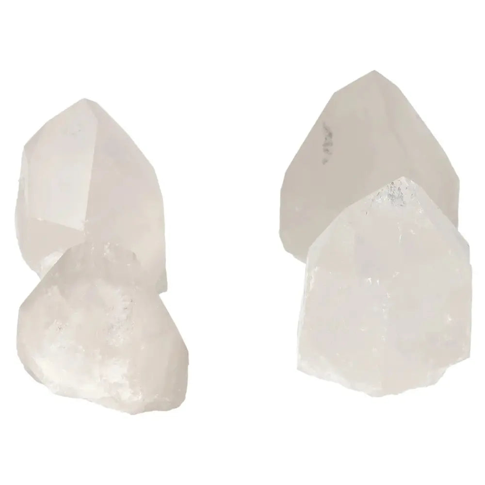 orbitvu|type:image2d