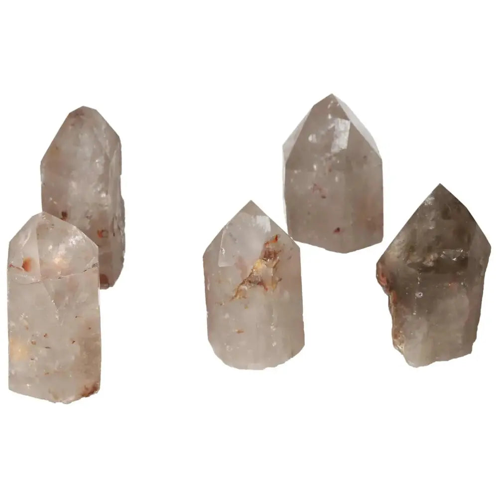 orbitvu|type:image2d