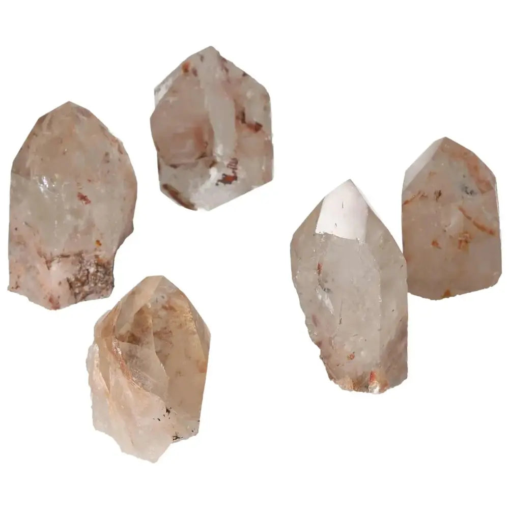 orbitvu|type:image2d