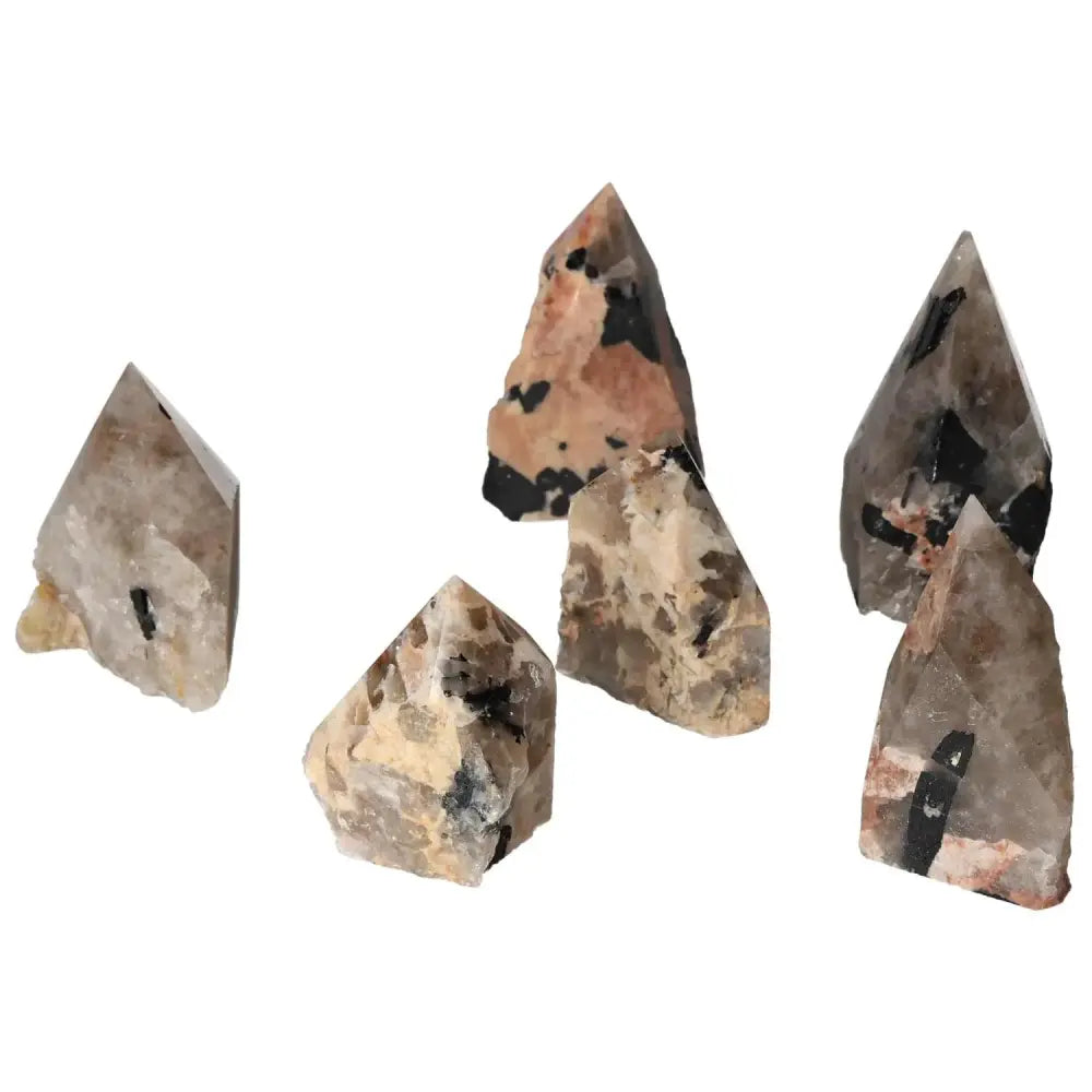 Polished Point Quartz with Black Tourmaline inclusions, featuring striking patterns and premium crystal clarity from Sylvia Crystals.