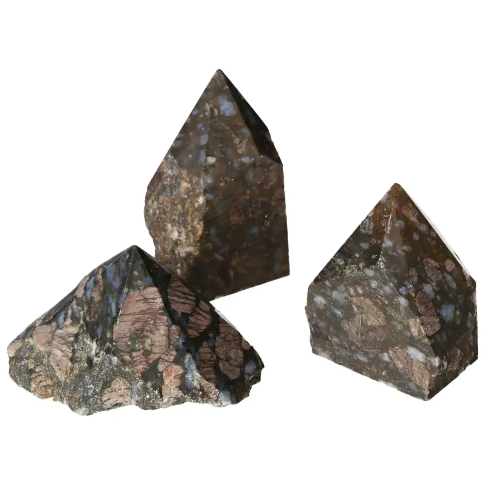 Polished Point Rhyolite L stones with pink, green, brown, and gray hues, showcasing unique patterns from Sylvia Crystals.