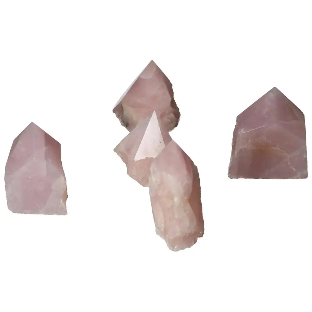 orbitvu|type:image2d