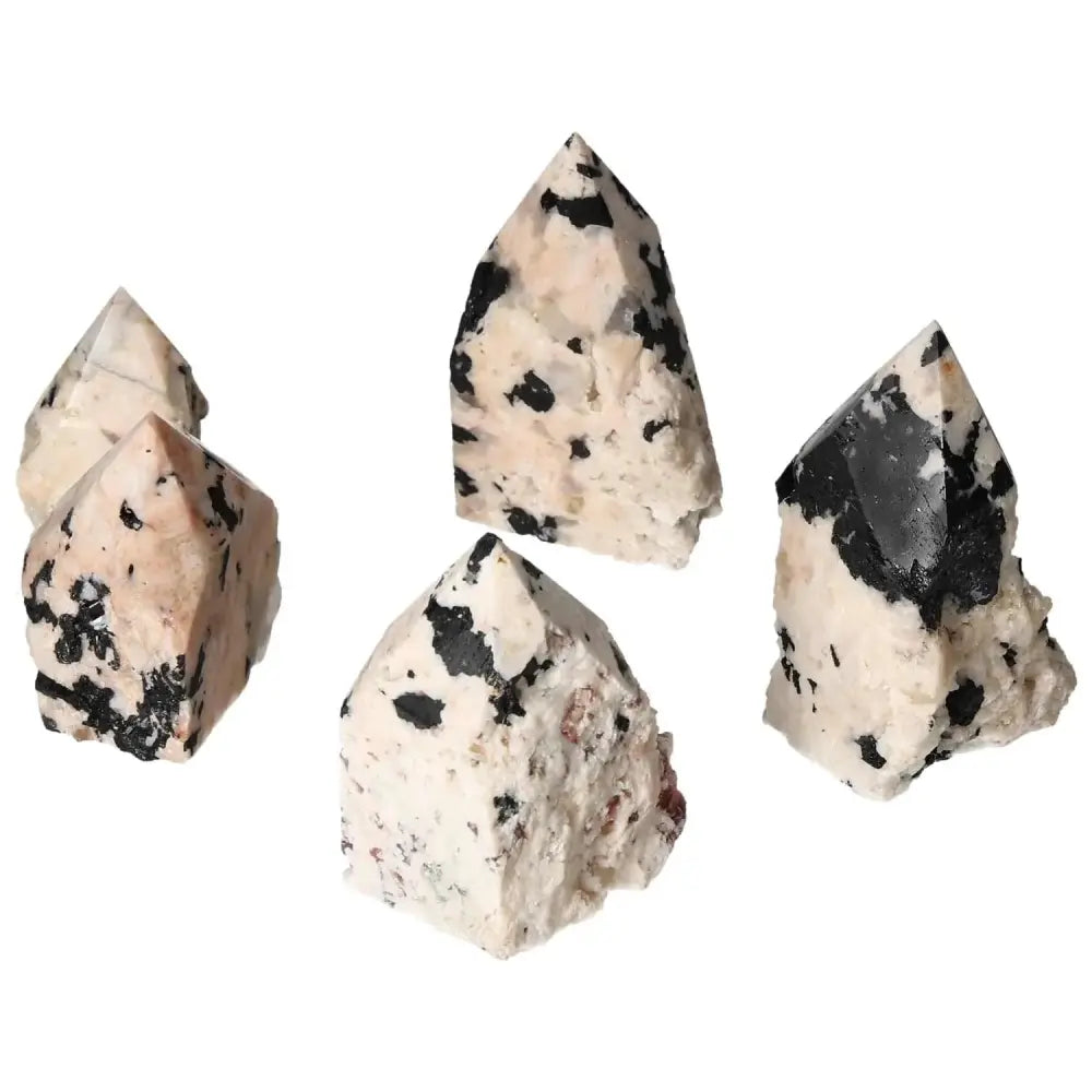 Polished Point Tourmaline with Feldspar S crystals, showcasing their vibrant energy and grounding presence, from Sylvia Crystals.