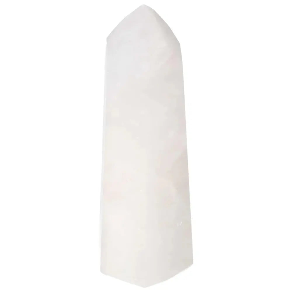 orbitvu|type:image2d