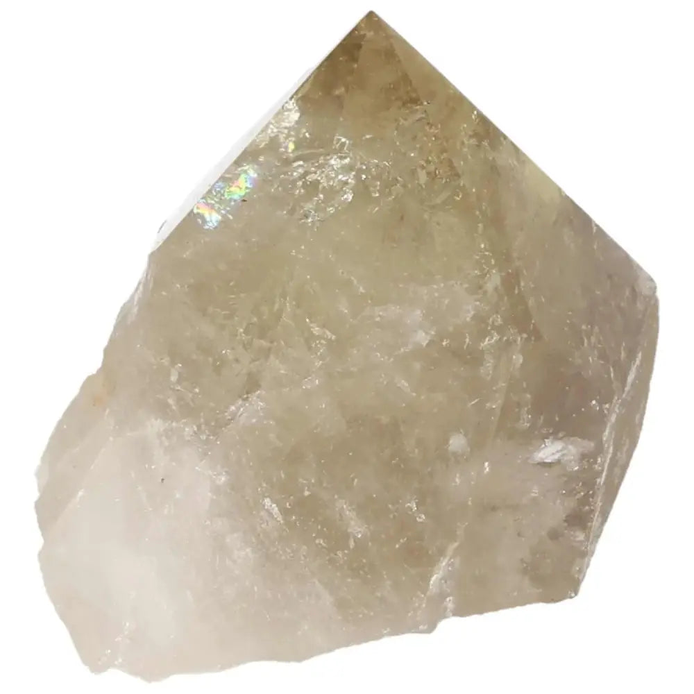 Polished Smoky Quartz Point crystal from Sylvia Crystals, renowned for grounding energy and protection against negativity.