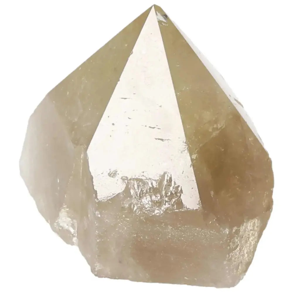 Polished Smoky Quartz Point crystal with reflective surface, known for its grounding energy and spiritual benefits.