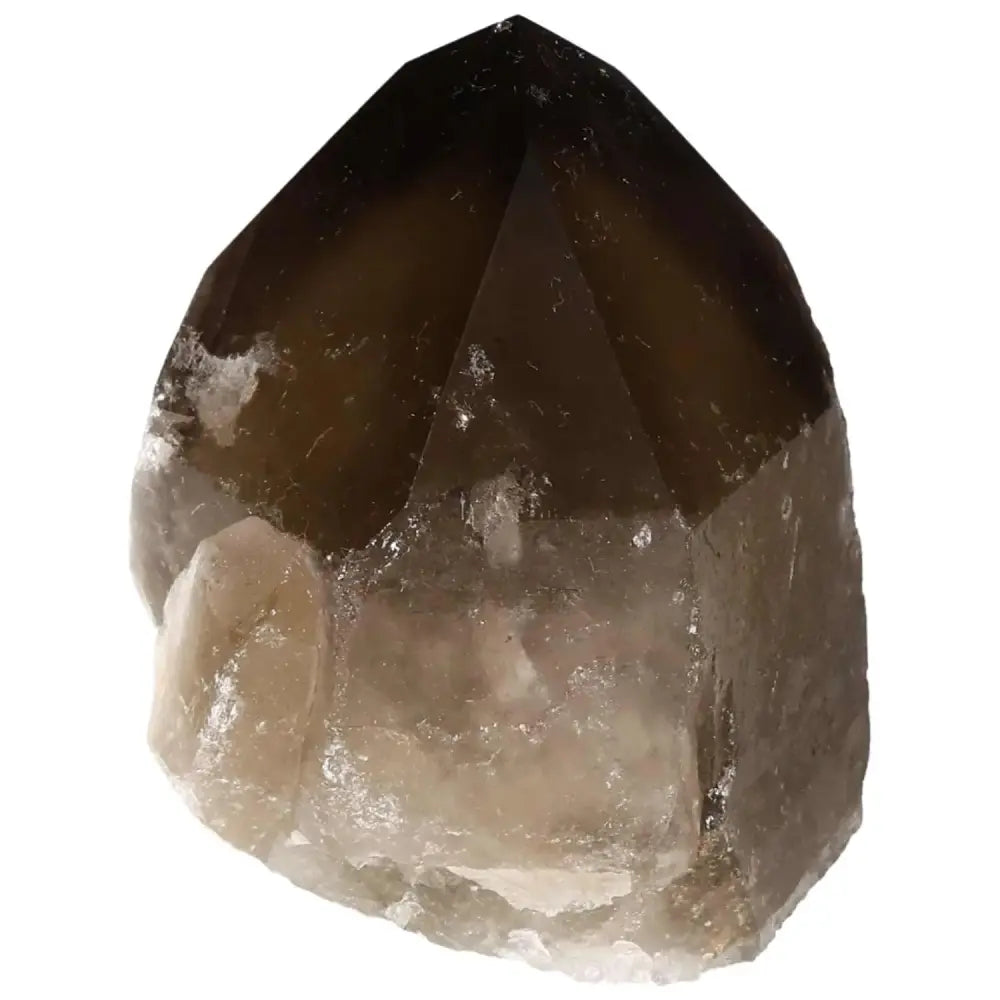 Polished Smoky Quartz Point crystal from Sylvia Crystals, offering spiritual grounding and protection against negative energies.