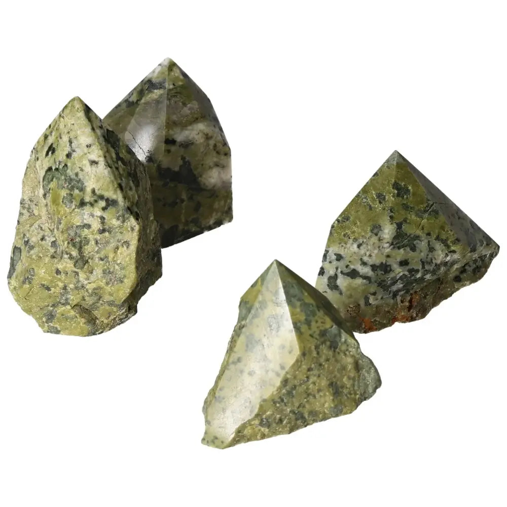 orbitvu|type:image2d