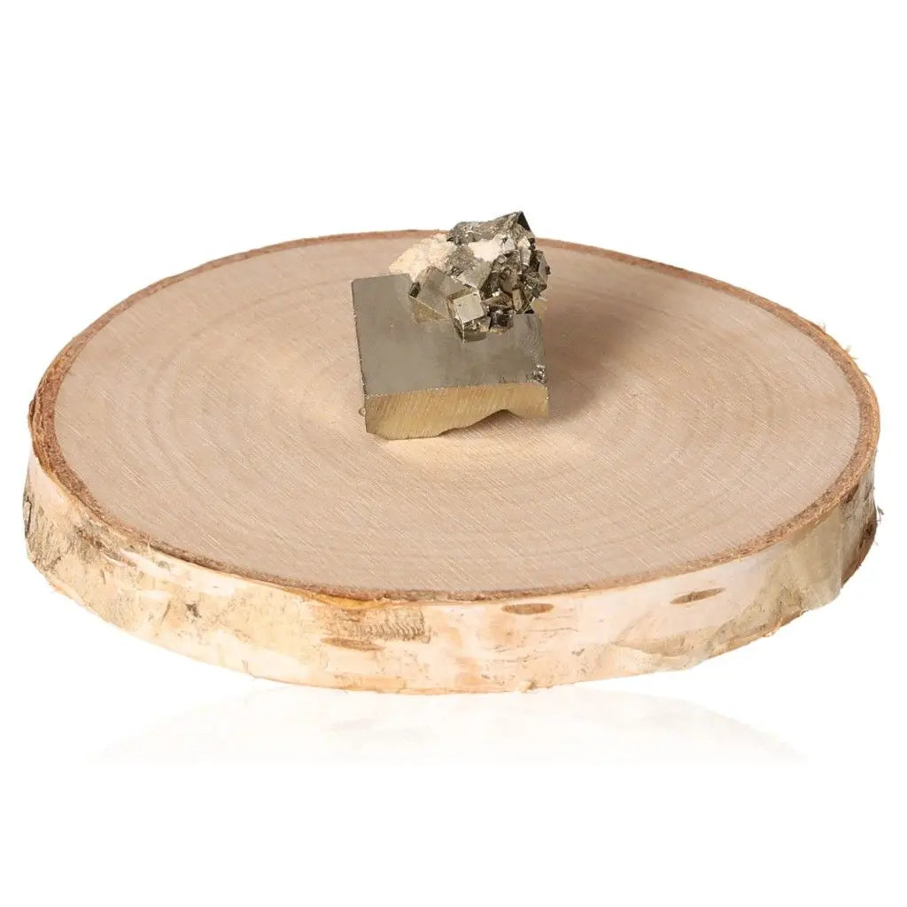 Golden pyrite druzy on a natural wood slice, showcasing its metallic luster and cubic crystal formations.