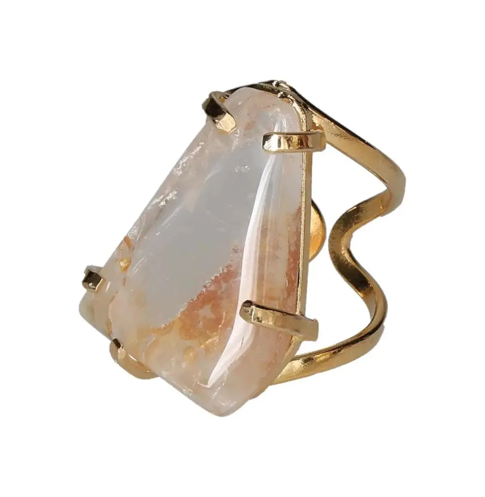 orbitvu|type:image2d