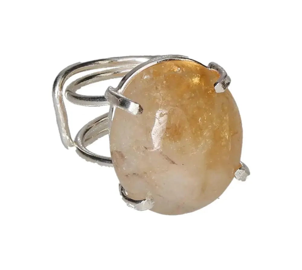 orbitvu|type:image2d