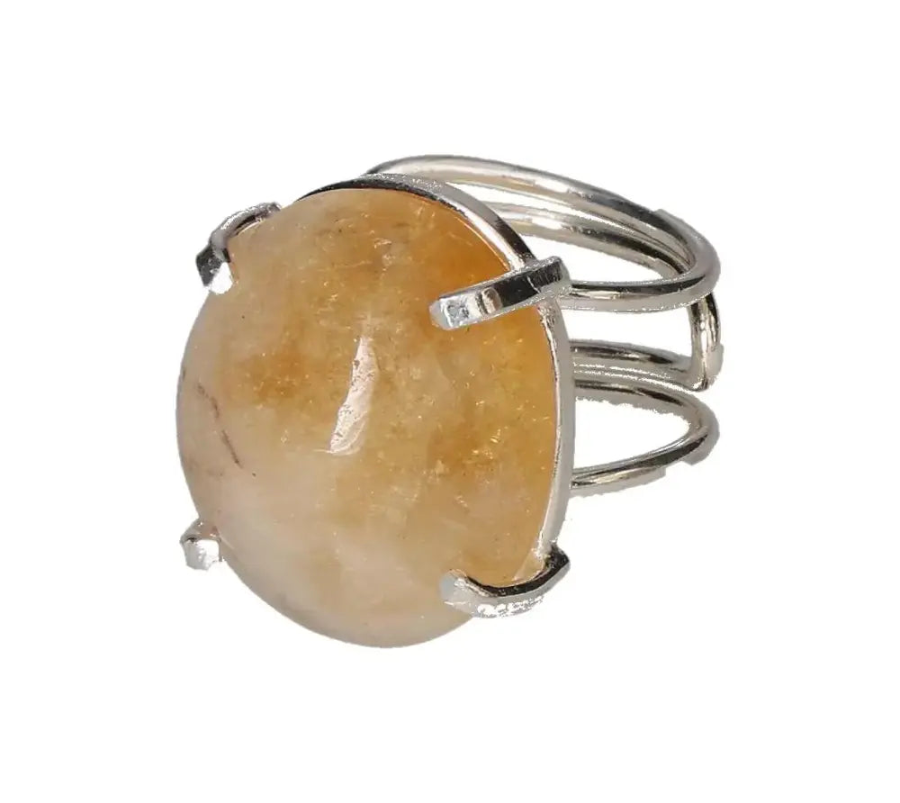 orbitvu|type:image2d