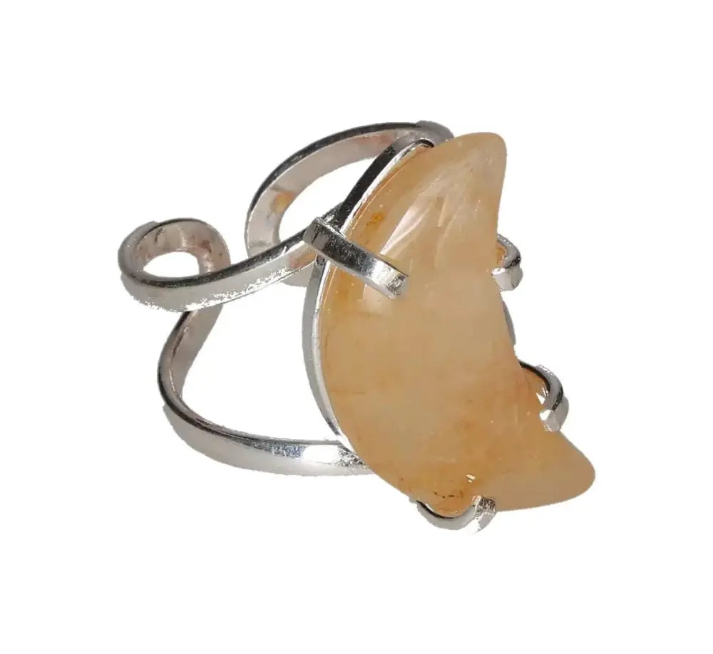 orbitvu|type:image2d