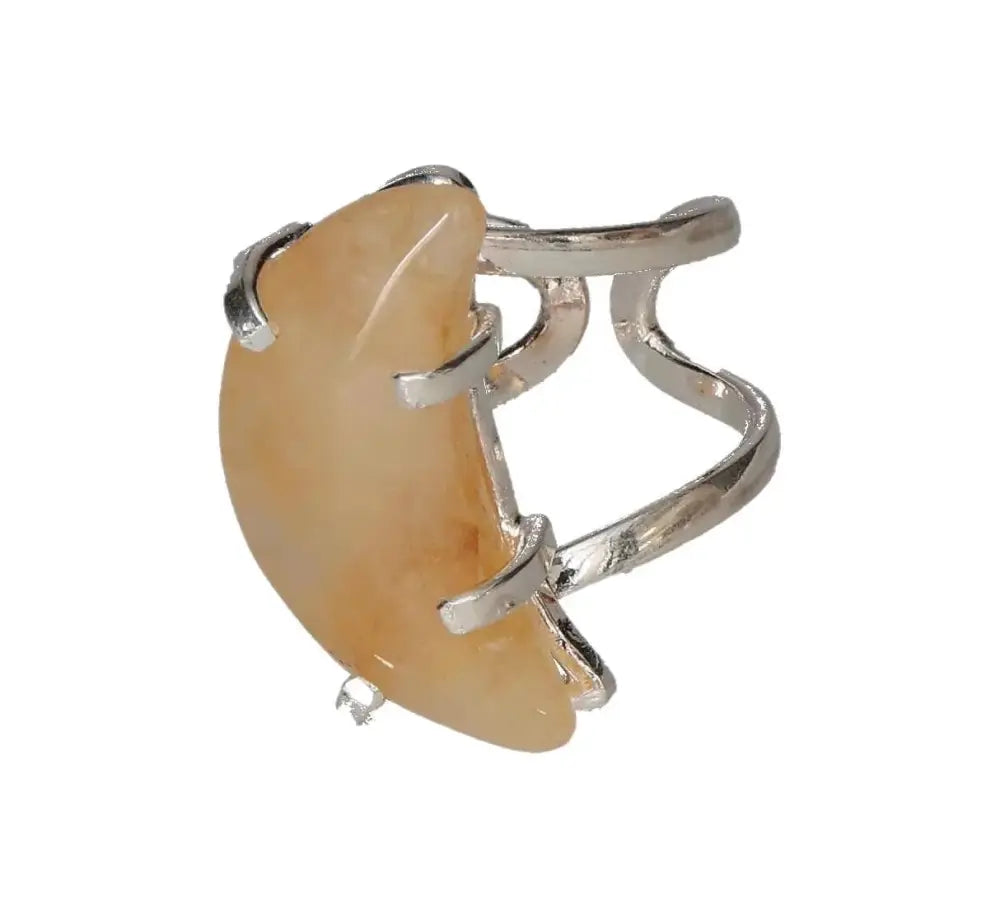 orbitvu|type:image2d