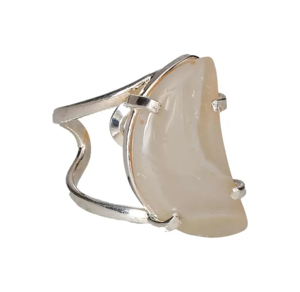 orbitvu|type:image2d