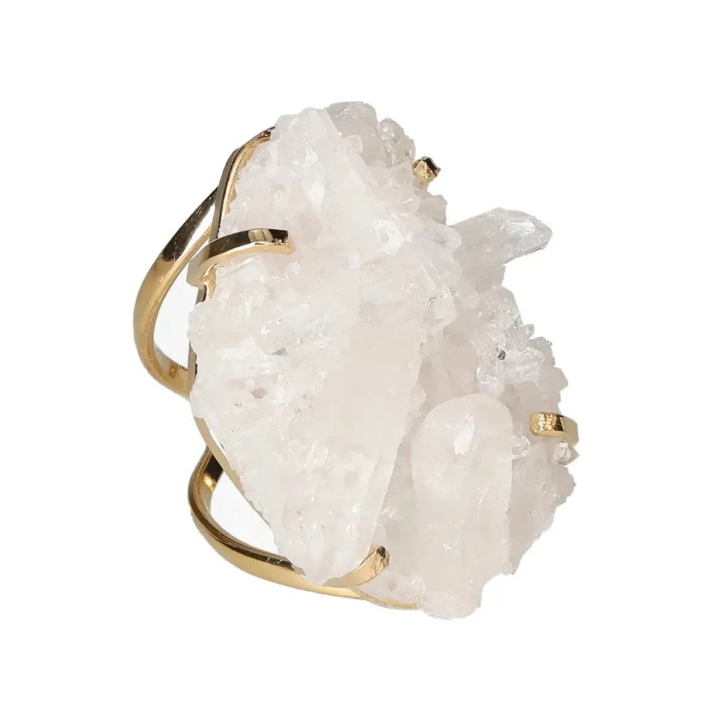 orbitvu|type:image2d