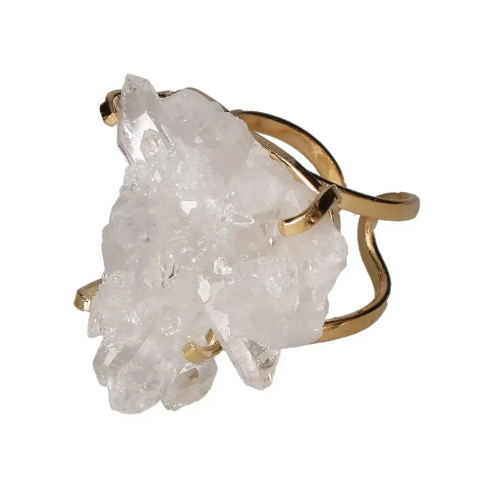 orbitvu|type:image2d