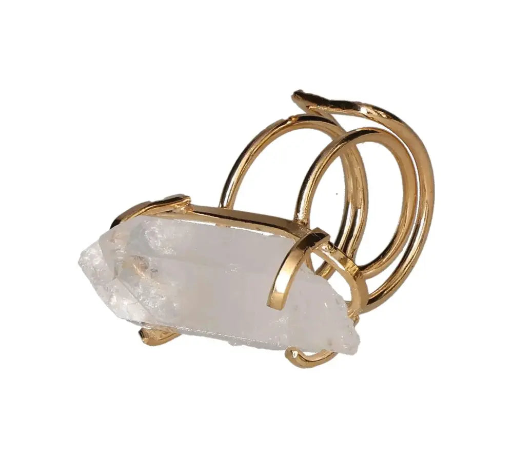 orbitvu|type:image2d