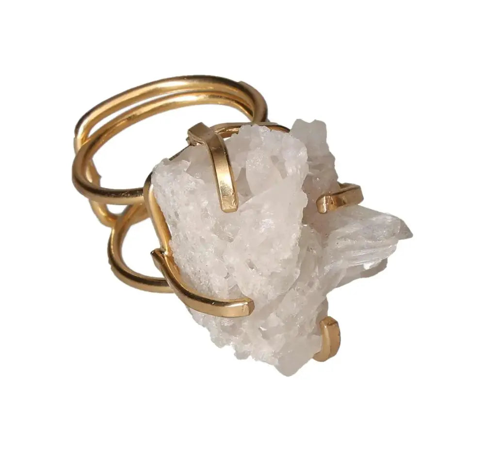 orbitvu|type:image2d