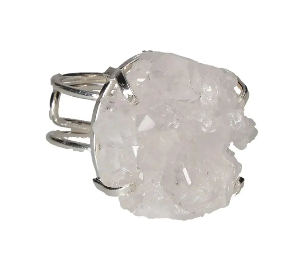 orbitvu|type:image2d