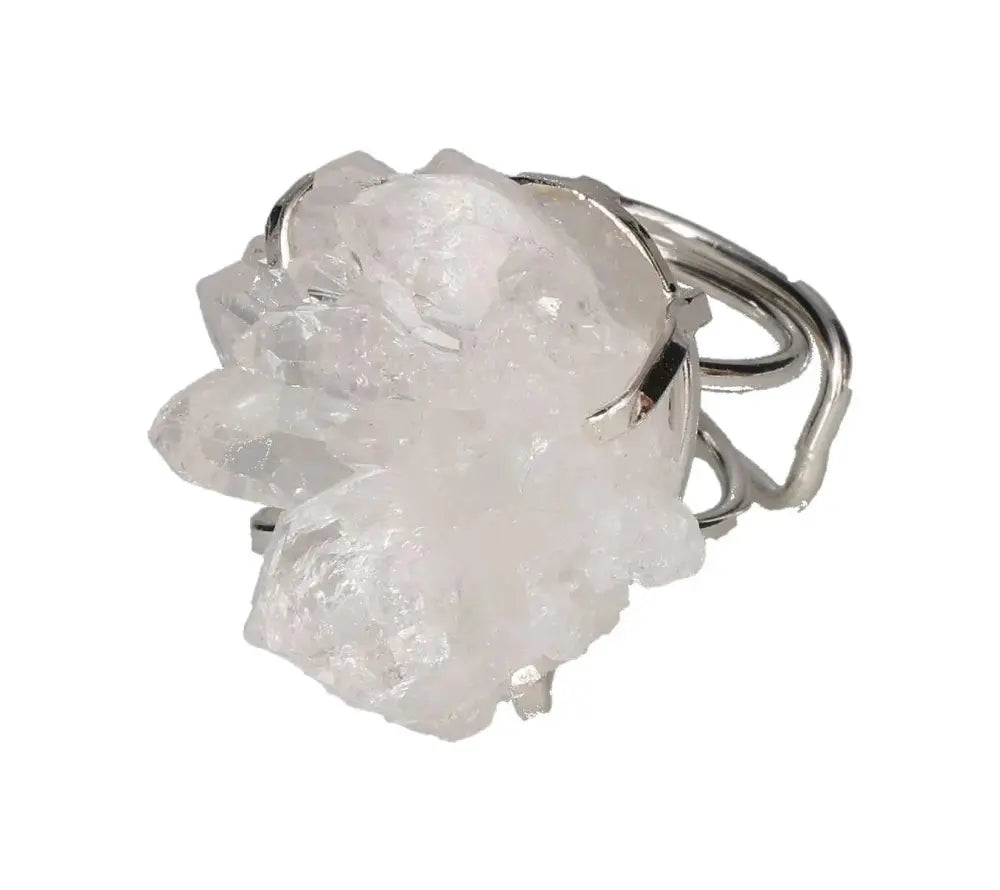 orbitvu|type:image2d