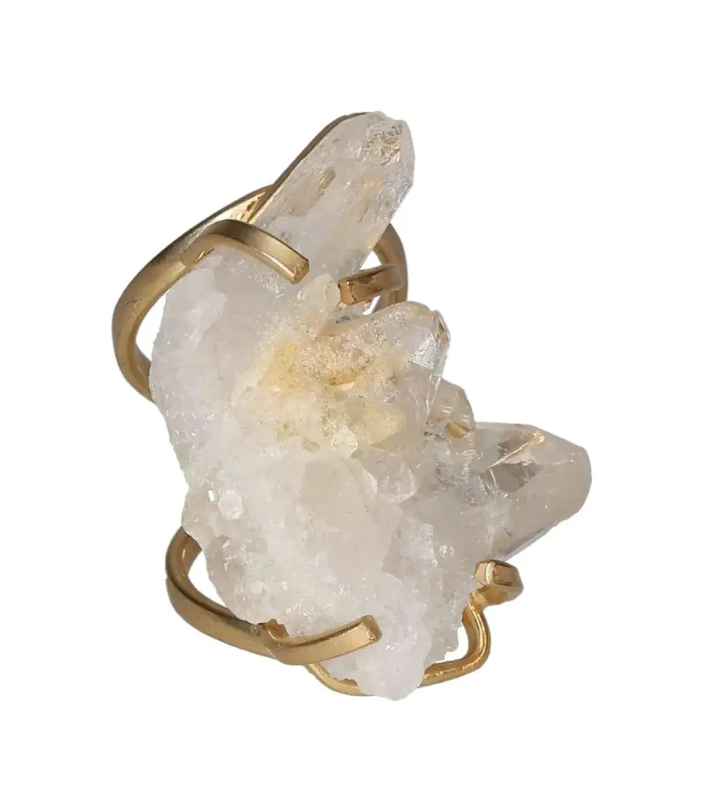 orbitvu|type:image2d