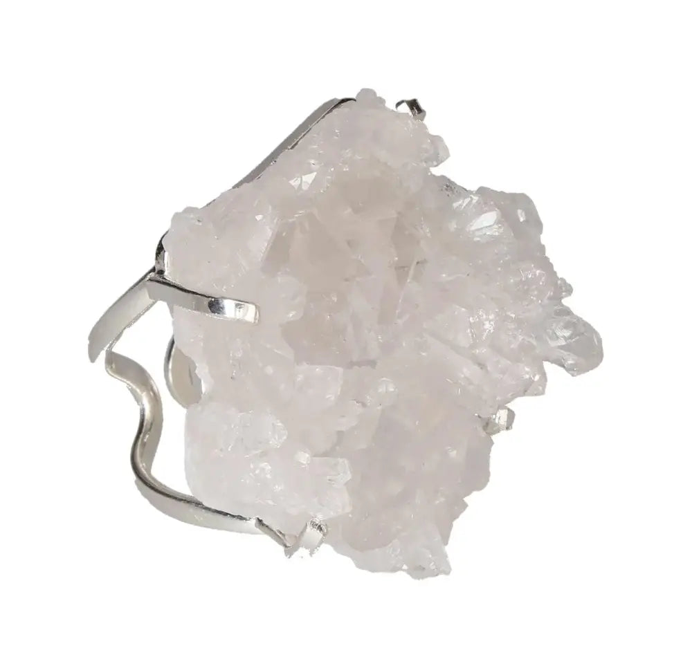 orbitvu|type:image2d