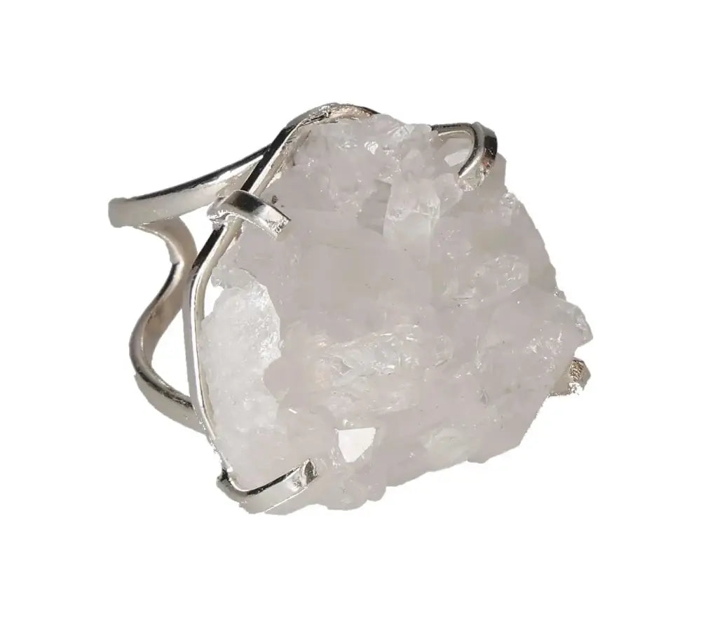 orbitvu|type:image2d