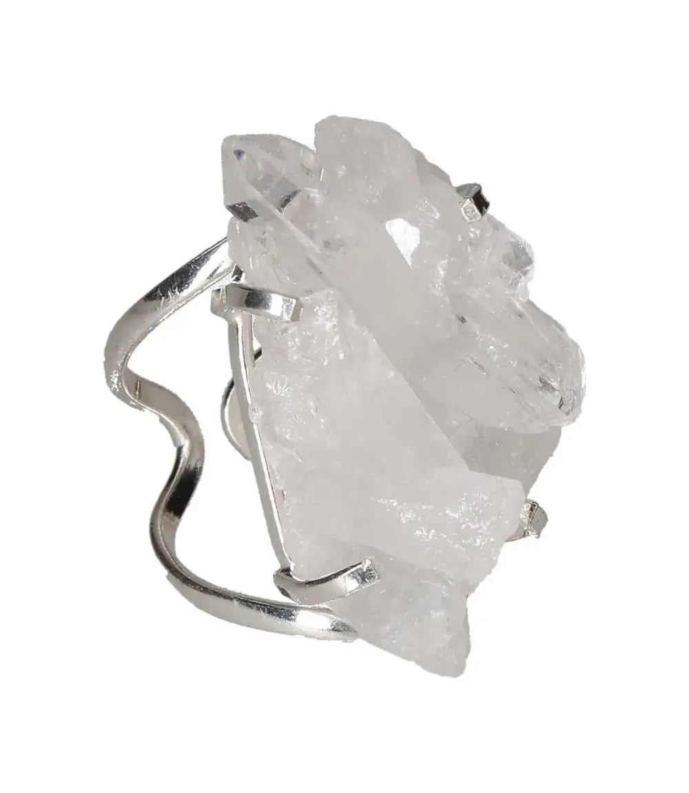 orbitvu|type:image2d