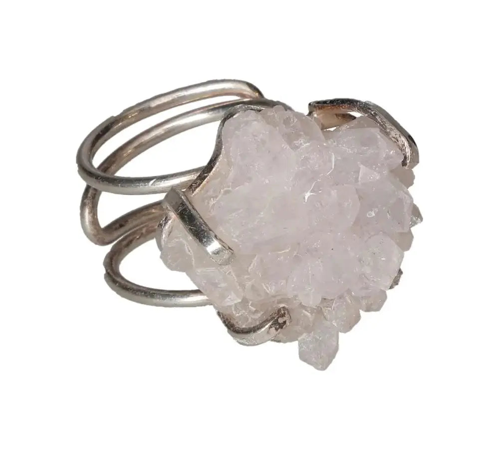 orbitvu|type:image2d