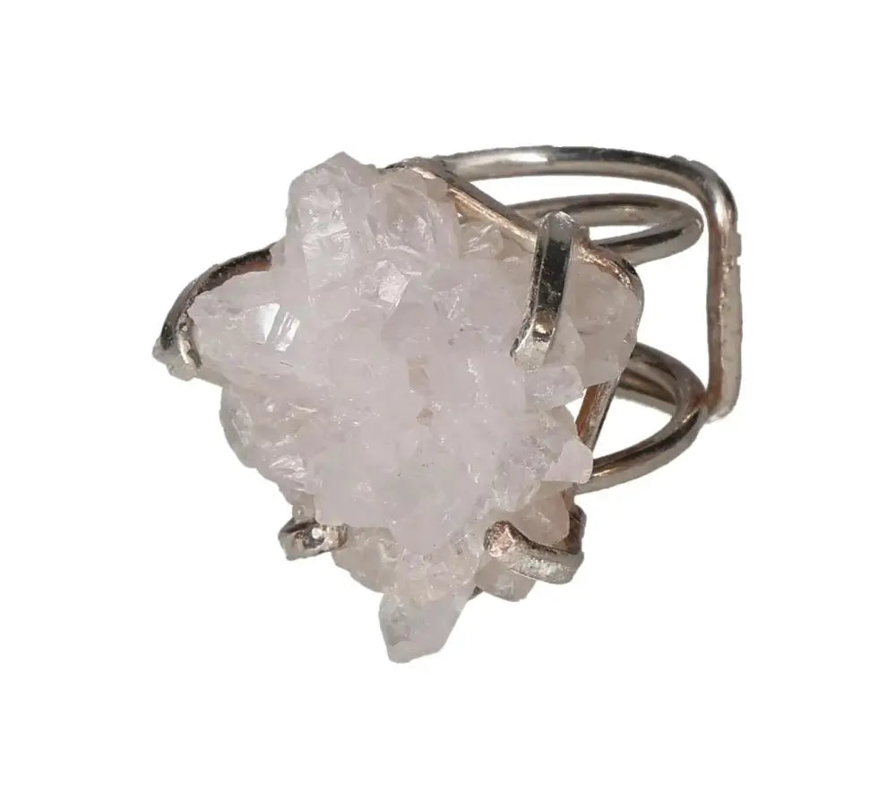 orbitvu|type:image2d