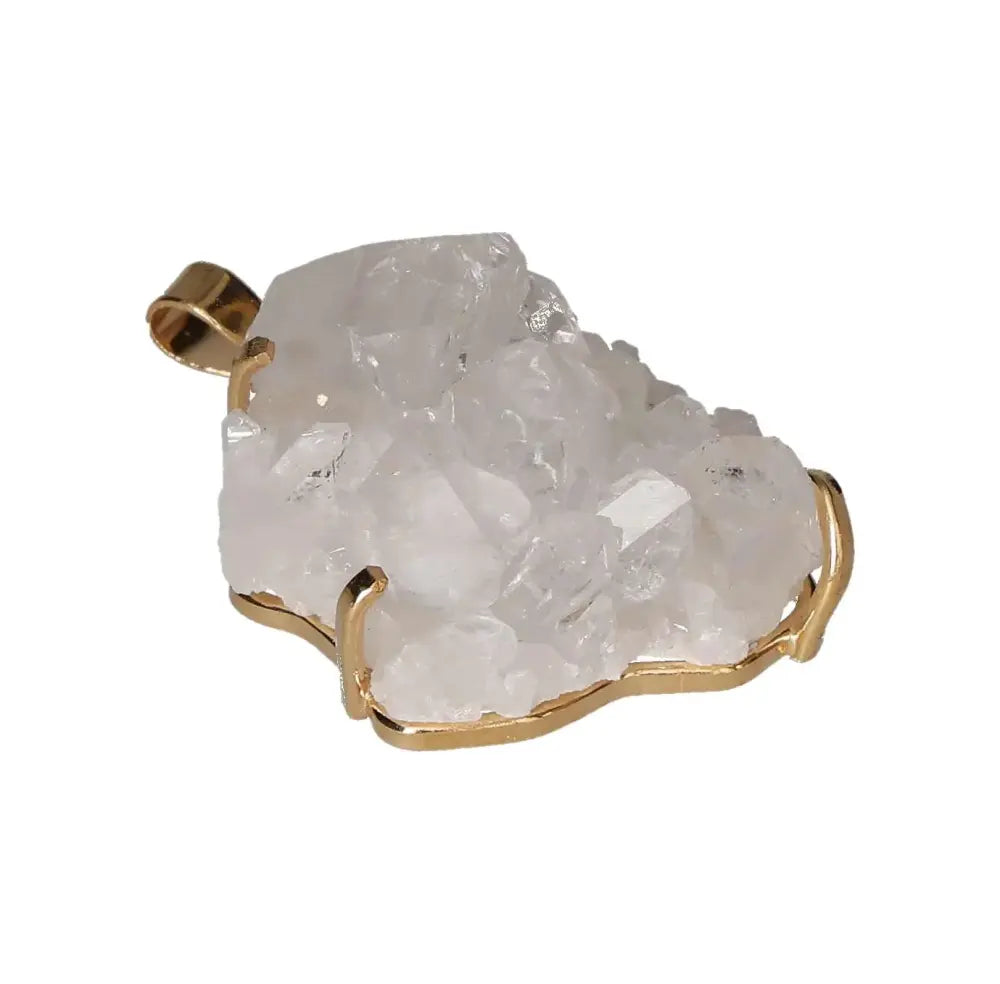 orbitvu|type:image2d