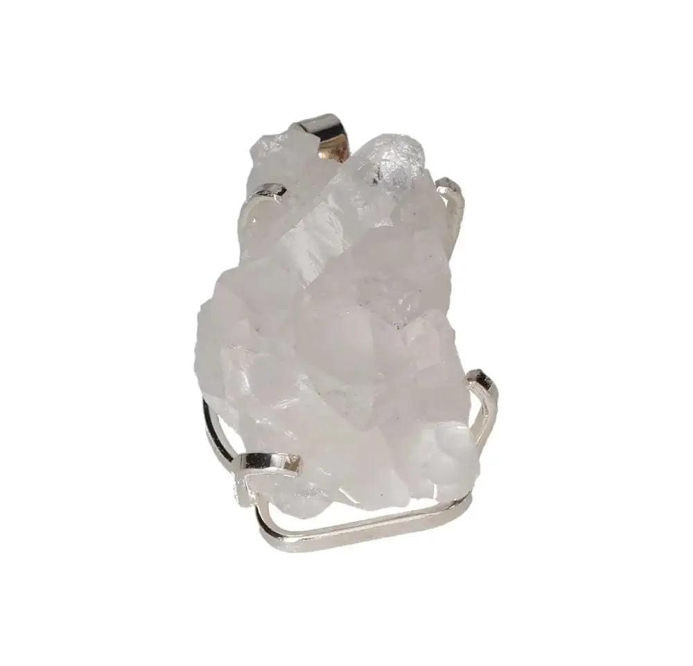 orbitvu|type:image2d