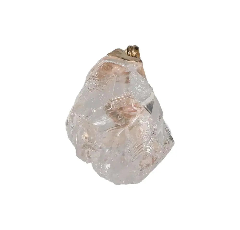 orbitvu|type:image2d