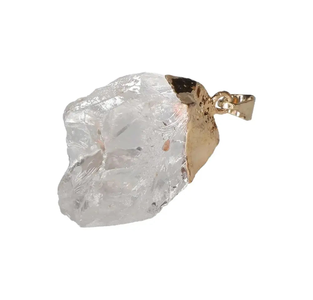 orbitvu|type:image2d