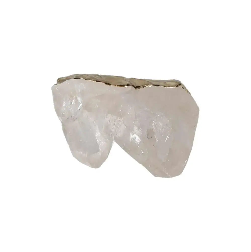 orbitvu|type:image2d