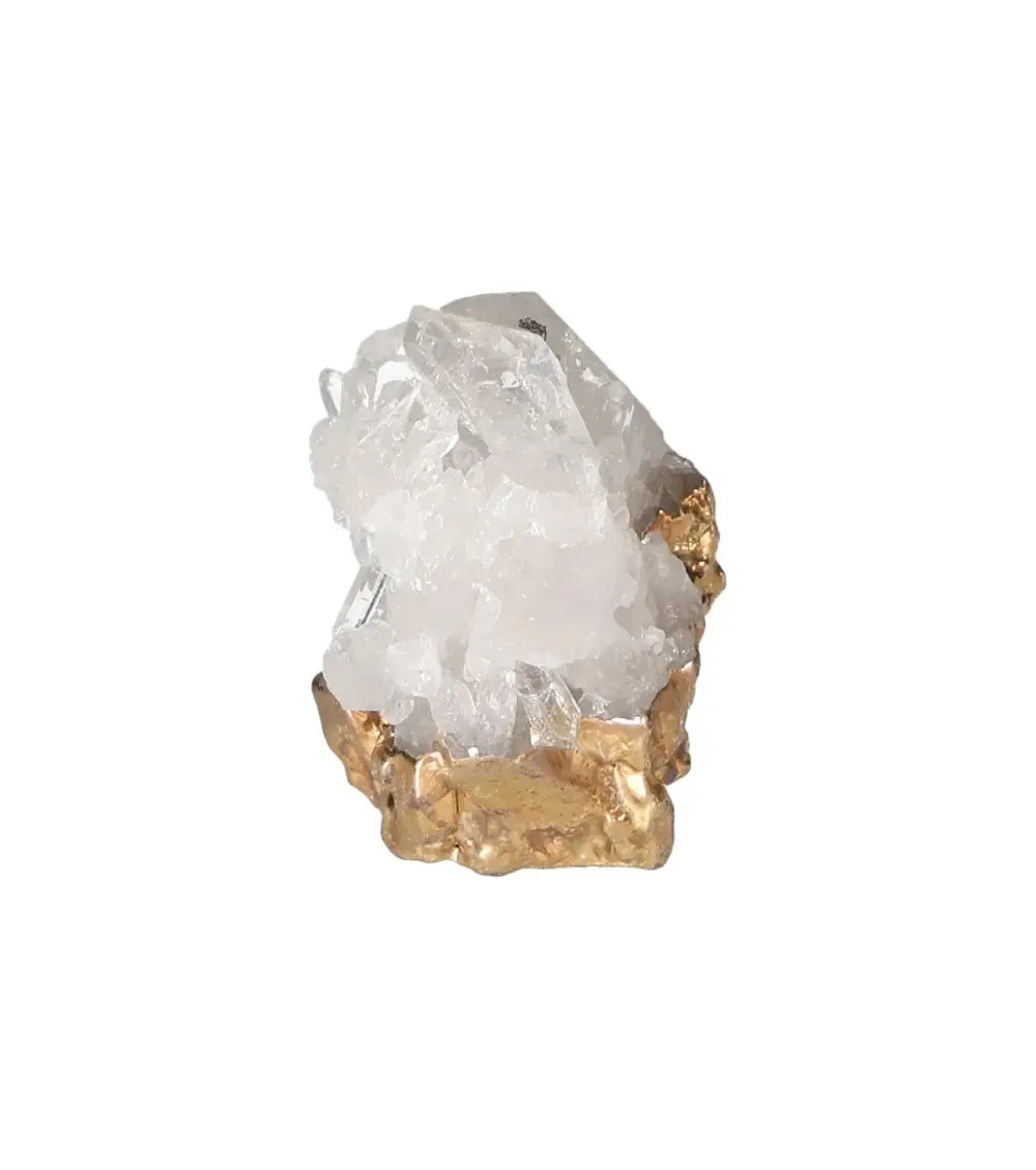 orbitvu|type:image2d