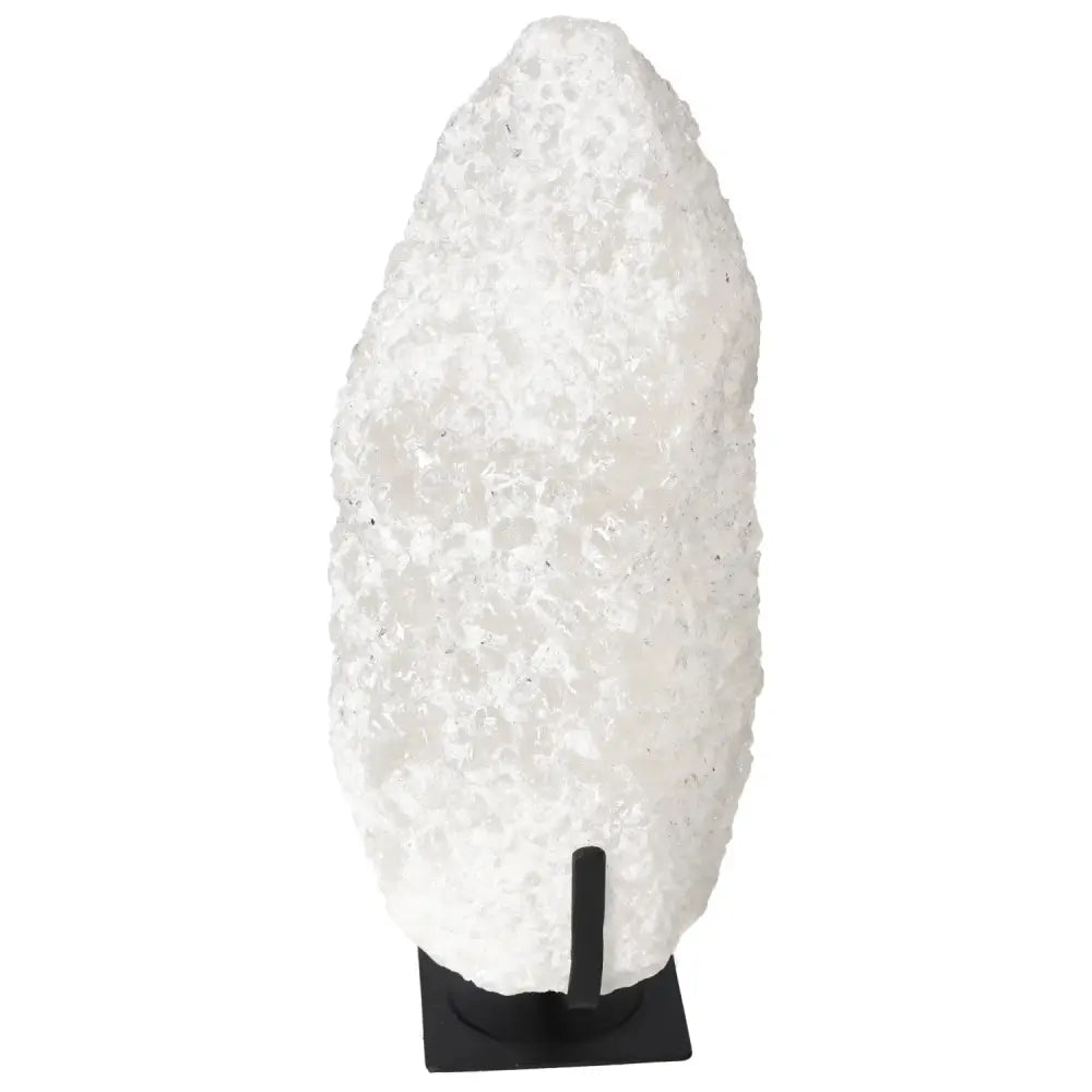 orbitvu|type:image2d