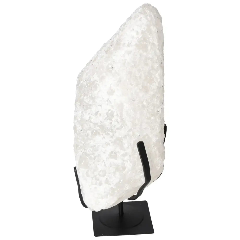 orbitvu|type:image2d