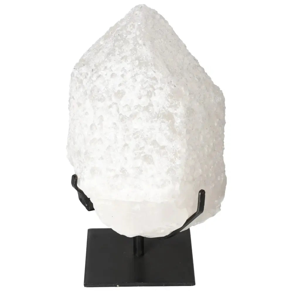 orbitvu|type:image2d