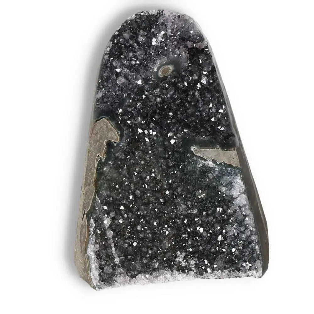 orbitvu|type:image2d