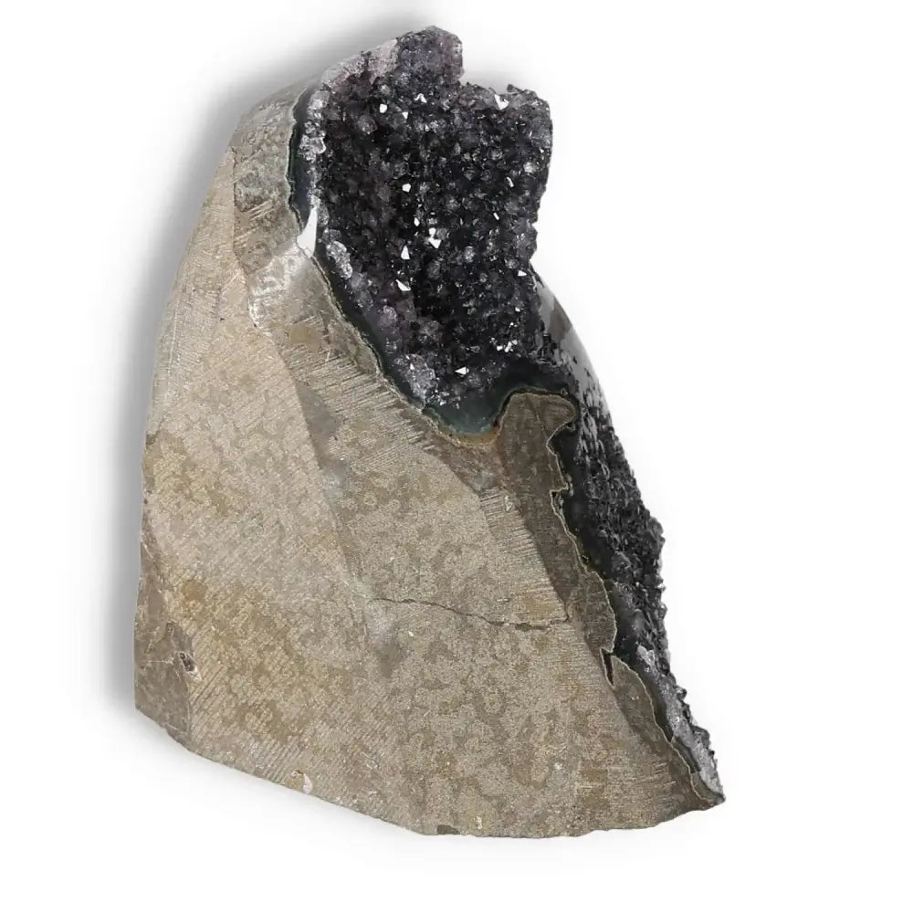 Quartz Cut Base Geode from Sylvia Crystals, showcasing captivating patterns and rich hues for tranquility and peace.