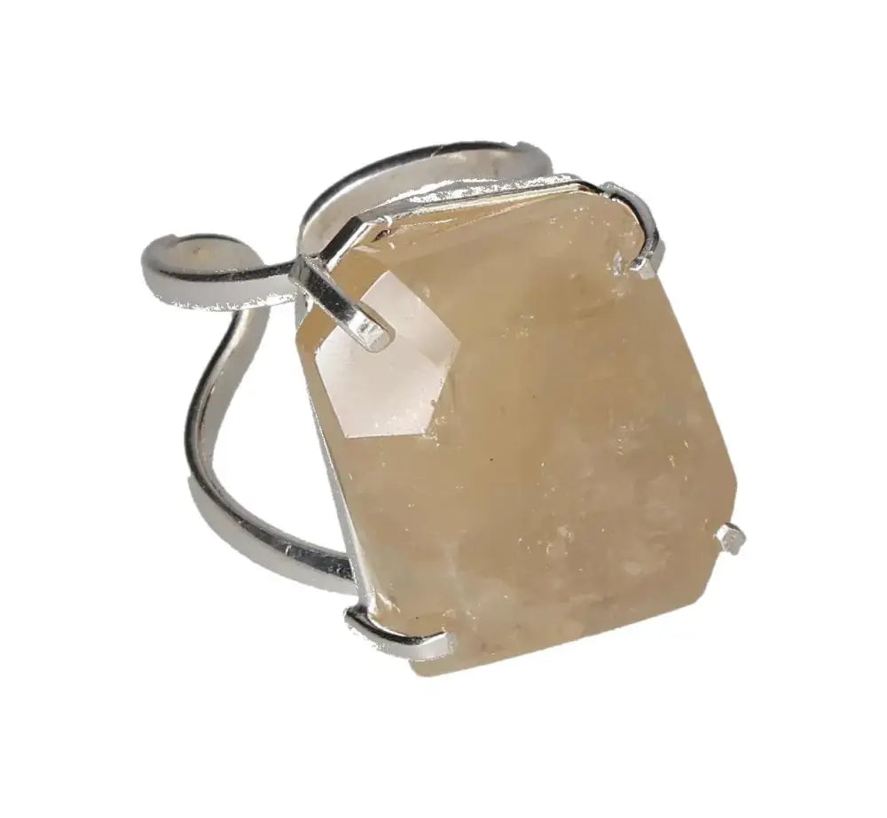 orbitvu|type:image2d