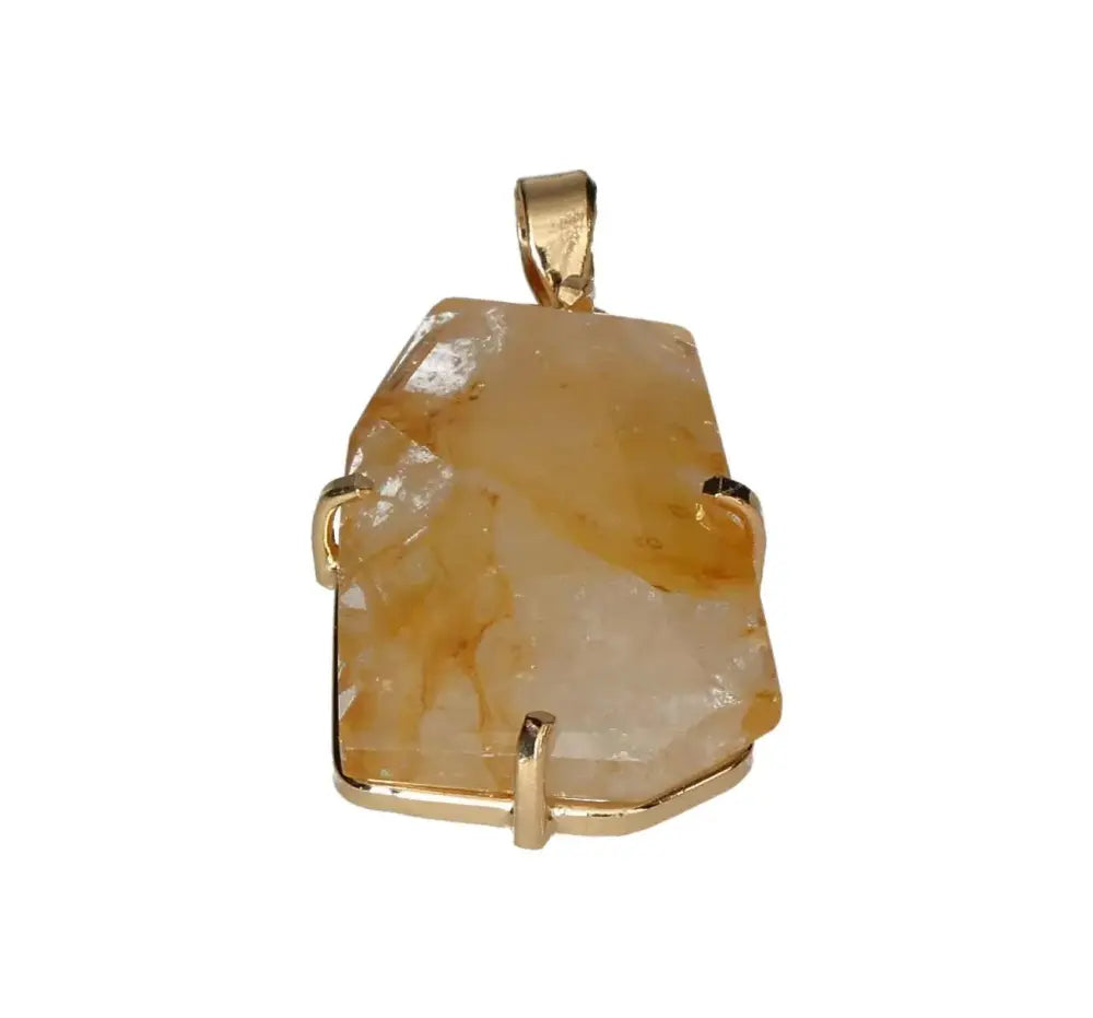 orbitvu|type:image2d