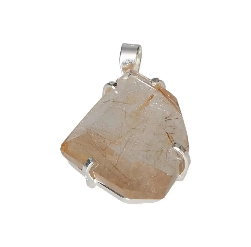 orbitvu|type:image2d