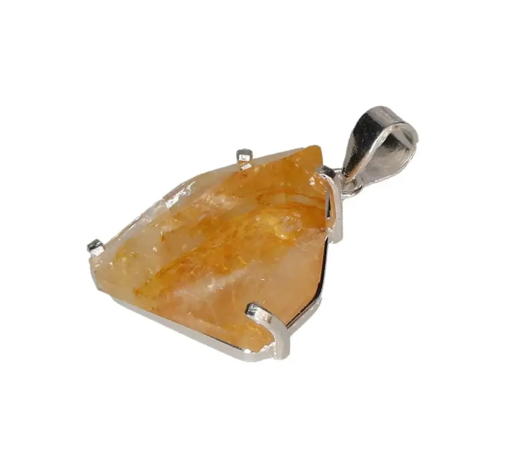 orbitvu|type:image2d