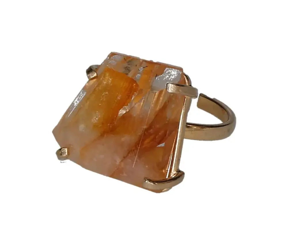 orbitvu|type:image2d