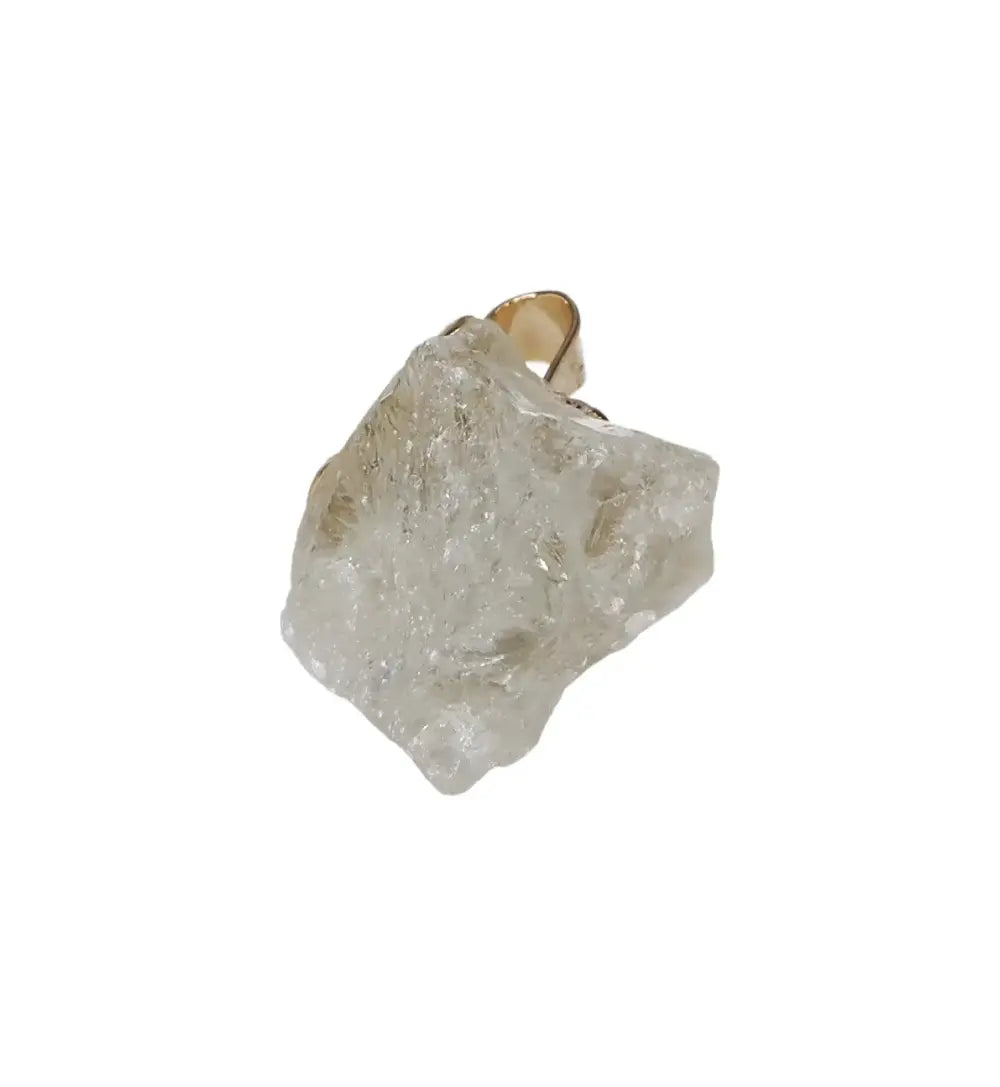 orbitvu|type:image2d